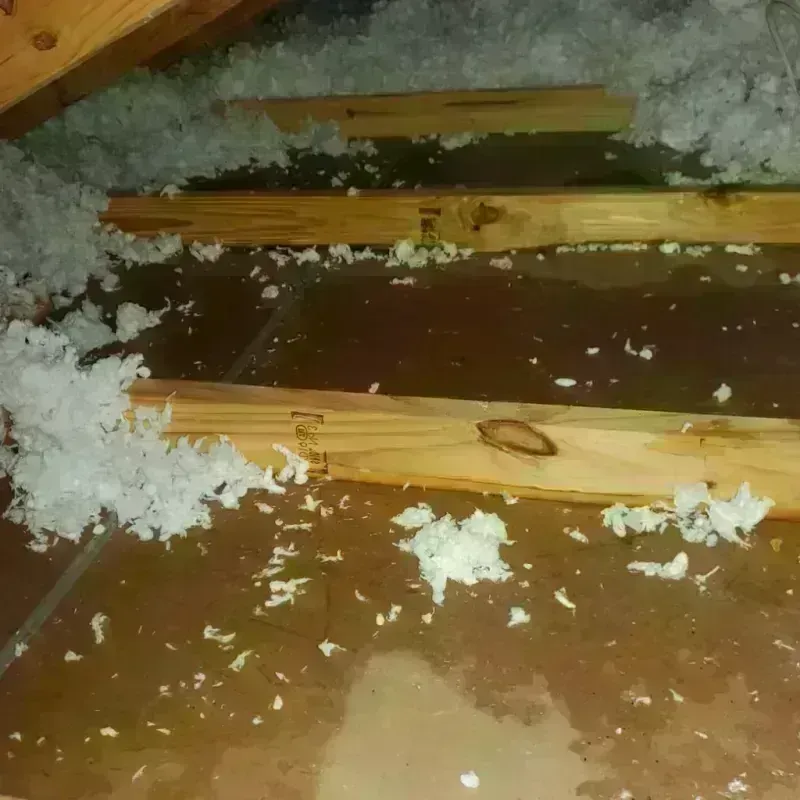 Attic Water Damage in Granite Hills, CA