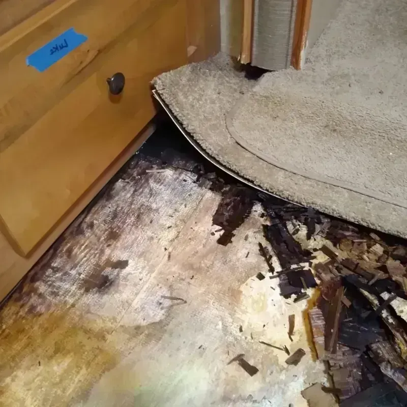 Best Wood Floor Water Damage Service in Granite Hills, CA